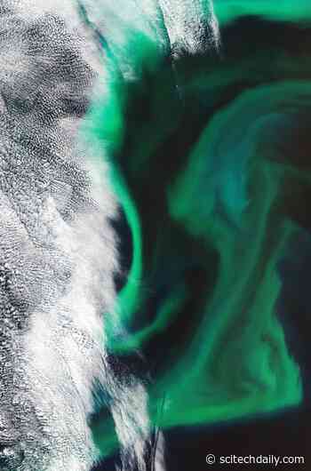 Exploring Earth From Space: Japan in Bloom [Video]