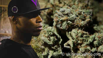 NBA veteran turned entrepreneur pushes for Black equity in growing cannabis industry - Yahoo News UK