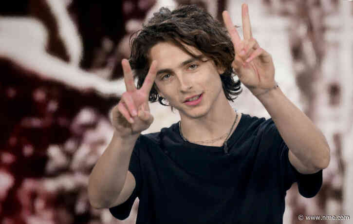 Watch Timothée Chalamet play Edward Scissorhands’ son in Super Bowl advert