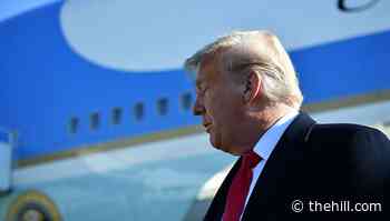 Most in new poll say Trump should be convicted, barred from federal office