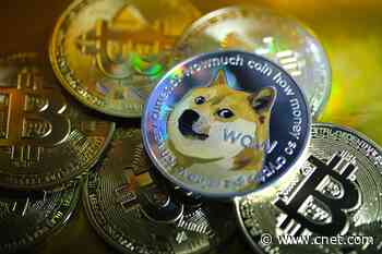 Forget Bitcoin: The insane world of altcoin cryptocurrency trading     - CNET