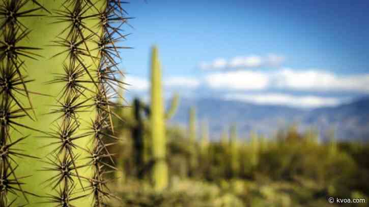 Southern Arizona will stay dry and mild for the next week