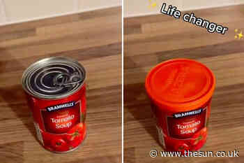 Woman shares simple hack to keep canned food fresh once it’s open & it’s a ‘life changer’ - The Sun