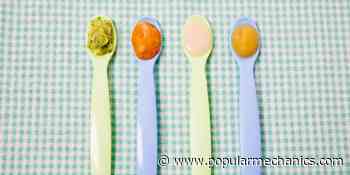 Your Baby's Food Might Be Loaded With Heavy Metals. Here's What to Do. - Popular Mechanics