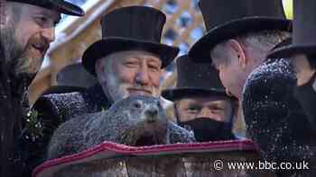 ICYMI: Groundhog Day and boot-iful snow patterns
