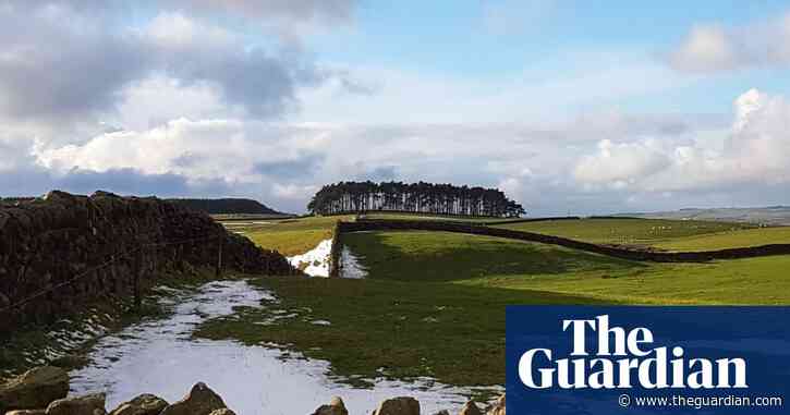 Country diary: green shoots amid the retreating snow