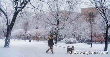 Second February Snowfall Blankets New York