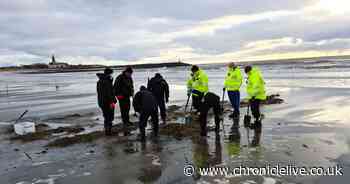 Over 10,000 rounds of ammunition found on Northumberland beach