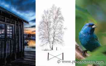 Crossing Arts Alliance presents photography exhibit - Pine and Lakes Echo Journal