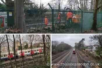 TfL accused of 'environmental vandalism' in Pinner
