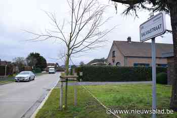 Vierhonderd woningen in Bloemekenswijk gescreend op warmteverlies (en dan is het aan de bewoners)