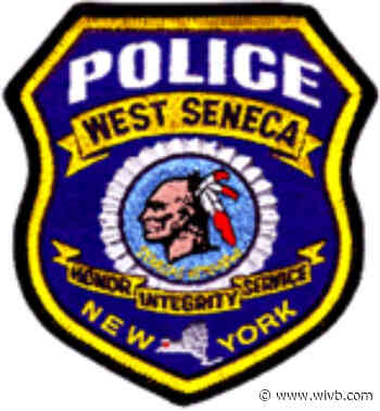 West Seneca police capture 2 dogs inside Tops store