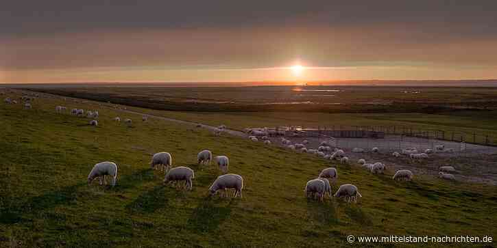 Klima der Ostfriesischen Inseln – Wann ist die beste Reisezeit?