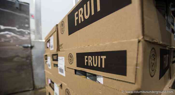 Senate Republican seeks to Restrict SNAP and Medicaid Eligibility in Ohio
