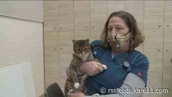 Why it's important to keep pets and children safe from the cold this weekend