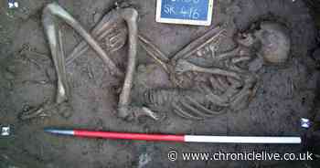 Historic Bamburgh skeletons project in line for national award