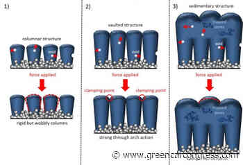 Nano-vault architecture alleviates stress in Si-based anodes for Li-ion batteries - Green Car Congress