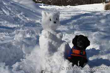 No rest for the weary: Winter storm rolls across East as polar vortex sweeps into Midwest
