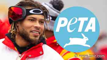 Tyrann Mathieu Gets $100k PETA Donation Despite No Interception in Super Bowl