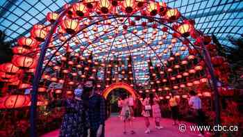 Year of the Ox: Preparations and decorations ahead of Asia's Lunar New Year