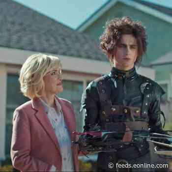 Timothée Chalamet Slices His Way Through an Edward Scissorhands Parody Super Bowl Ad