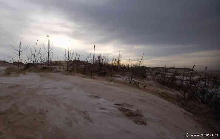 Police shutdown 100-strong illegal beach rave on National Trust site