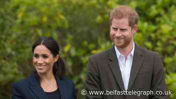 ‘Magic and kind’ Meghan and Harry join online poetry class