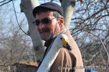 Turkish man strikes up 37-year friendship with swan - Dudley News