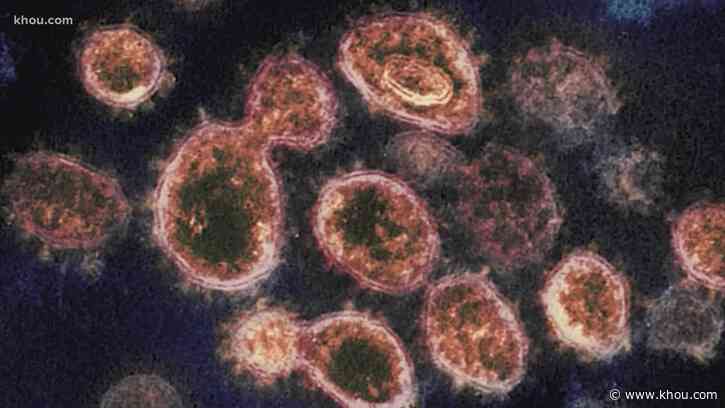 COVID variant from South Africa confirmed in Fort Bend; more cases from UK variant found in Houston - KHOU.com