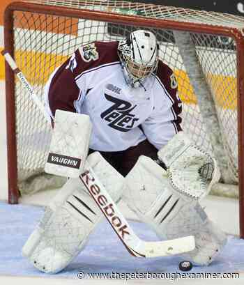 Former Peterborough Petes goalie Andrew D'Agostini called up by Toronto Marlies - ThePeterboroughExaminer.com