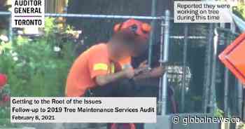 Toronto still not getting value for money after major 2019 review of tree maintenance: auditor general - Global News