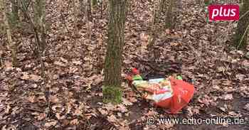 Toter Kater in Tüte im Darmstädter Bürgerpark gefunden