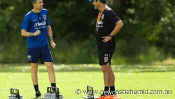Vote of confidence: Jets veteran backs Deans as coaching decision looms - Newcastle Herald