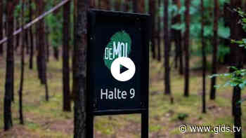 Wie is de Mol? aflevering 6 gemist? Bekijk de opdracht 'Brieven-bus' - Gids.tv