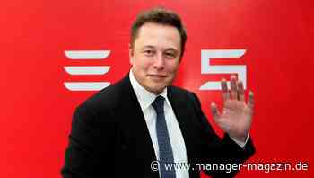 Bitcoin: Investments von Tesla-Chef Elon Musk sind verantwortungslos