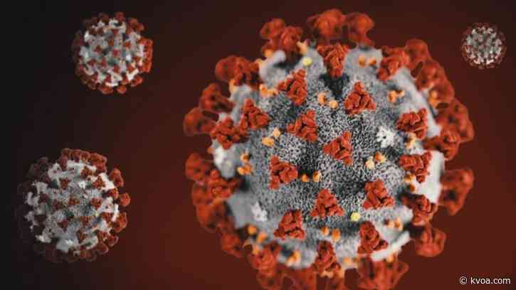 WHO team: Coronavirus likely jumped to humans