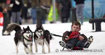 Teenager 'loving life' husky sledding in the snow - on Newcastle's Quayside