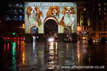 Projections on London landmarks thank dogs for lockdown companionship - St Helens Star