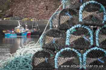 Fishy facelift: Spider crab and megrim could undergo image makeovers - St Helens Star