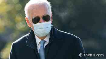 Biden to visit Wisconsin in first official domestic trip