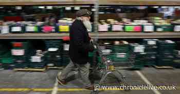 Behind the scenes at a foodbank as it helps struggling families during pandemic