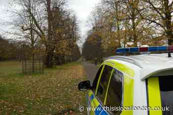 Man charged after deer injures child in Bushy Park