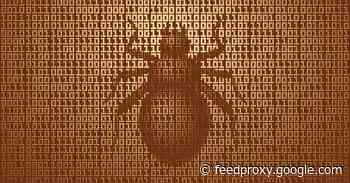 Beware of technical “experts” bombarding you with bug reports