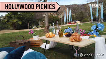 Pandemic picnics with a touch of Hollywood glamour