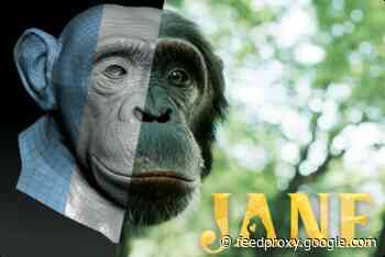 Apple TV+ expands kids slate with ‘Jane,’ inspired by Jane Goodall