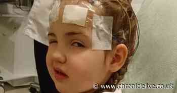 Dad's fundraising bid for cannabis medicine to help six-year-old daughter