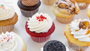 Spicy Green Book - an online guide to Black owned businesses