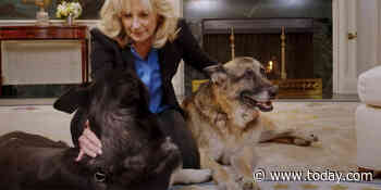 Jill Biden (and her dogs) promote mask-wearing in new PSA