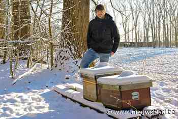 Imkers willen elektronisch traceersysteem na nieuwe bijendiefstal