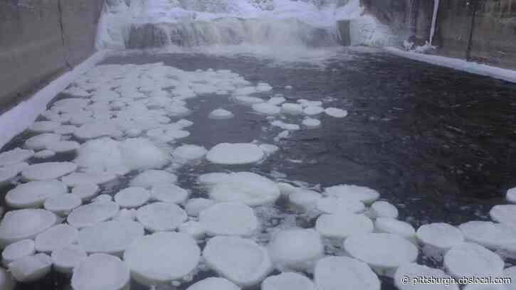 It’s So Cold, Rare ‘Pancake’ Ice Is Forming Near The Great Lakes